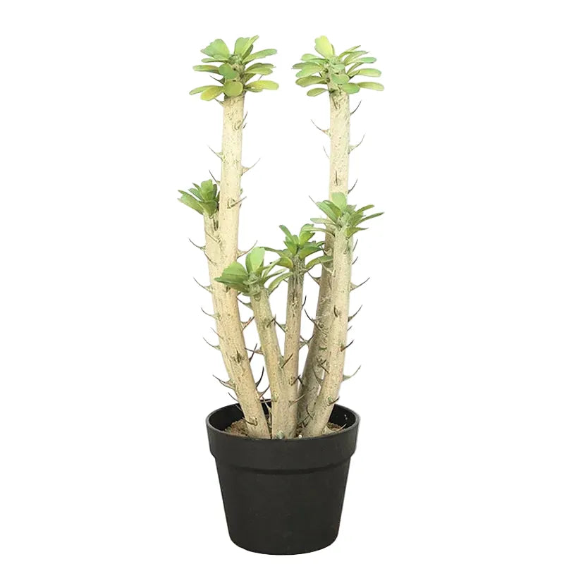 Euphorbia Cactus Artificiel | Artiflora