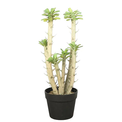 Euphorbia Cactus Artificiel | Artiflora