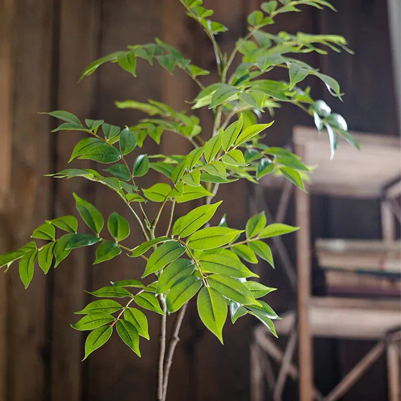 Ficus Artificiels | Artiflora
