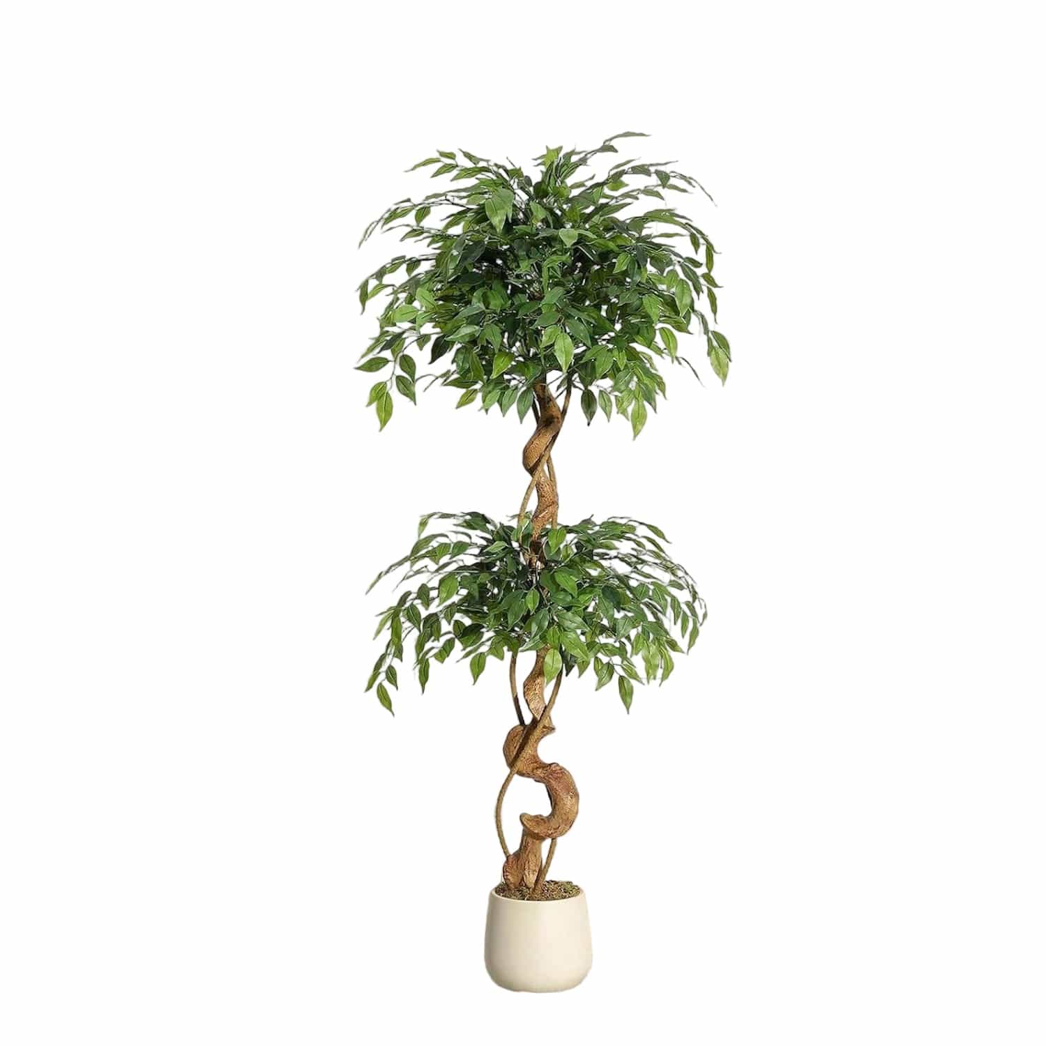 Ficus Tressé Artificiel | Artiflora 150cm