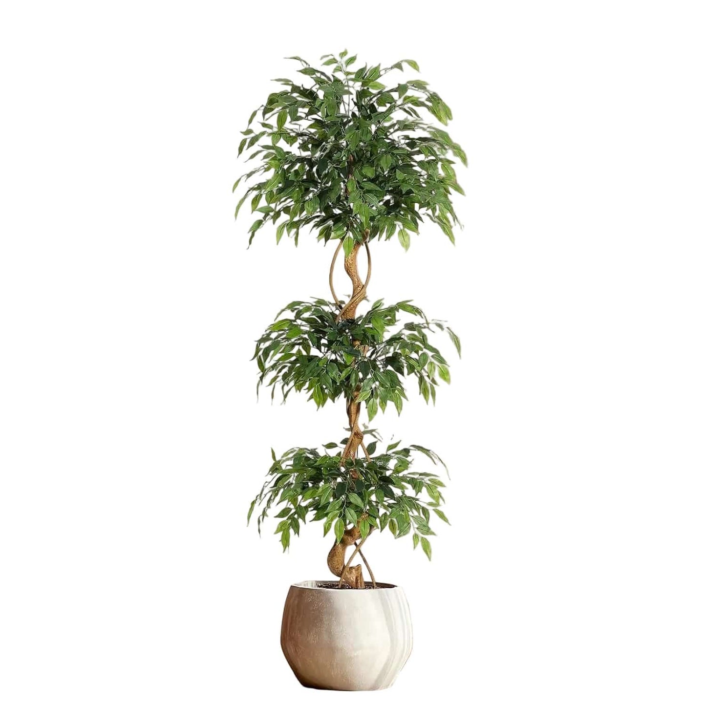 Ficus Tressé Artificiel | Artiflora 180cm