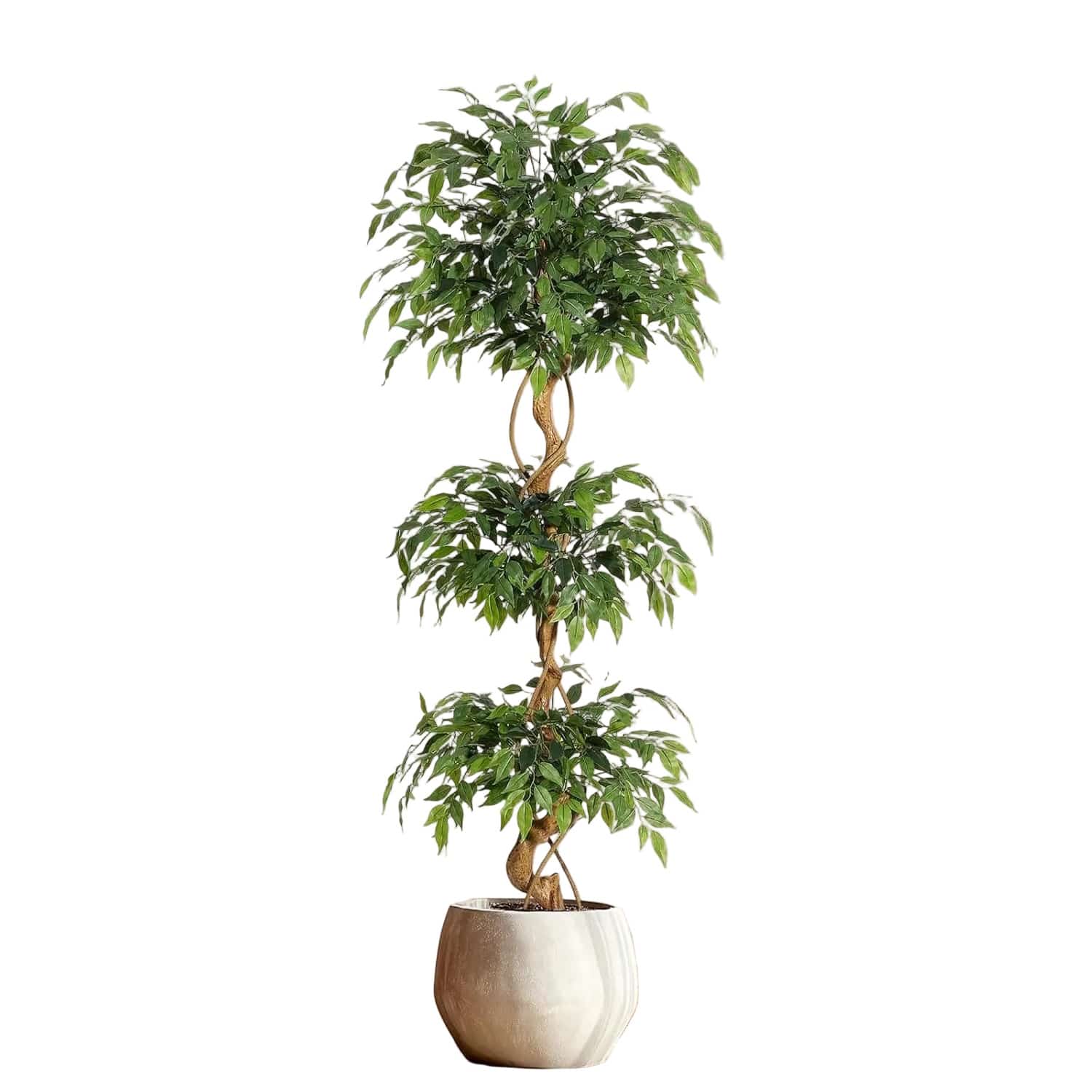Ficus Tressé Artificiel | Artiflora 180cm