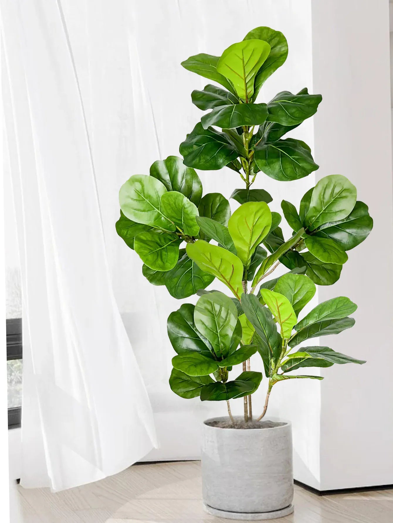 Figuier Artificiel | Artiflora