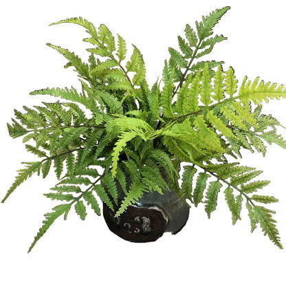 Fougères Verte Artificielles | Artiflora