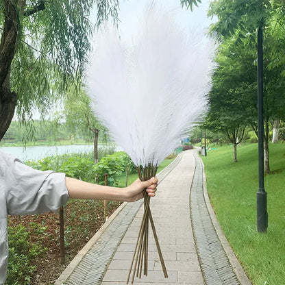 Herbe de Pampa Artificielle | Artiflora Blanc / 5 pièces