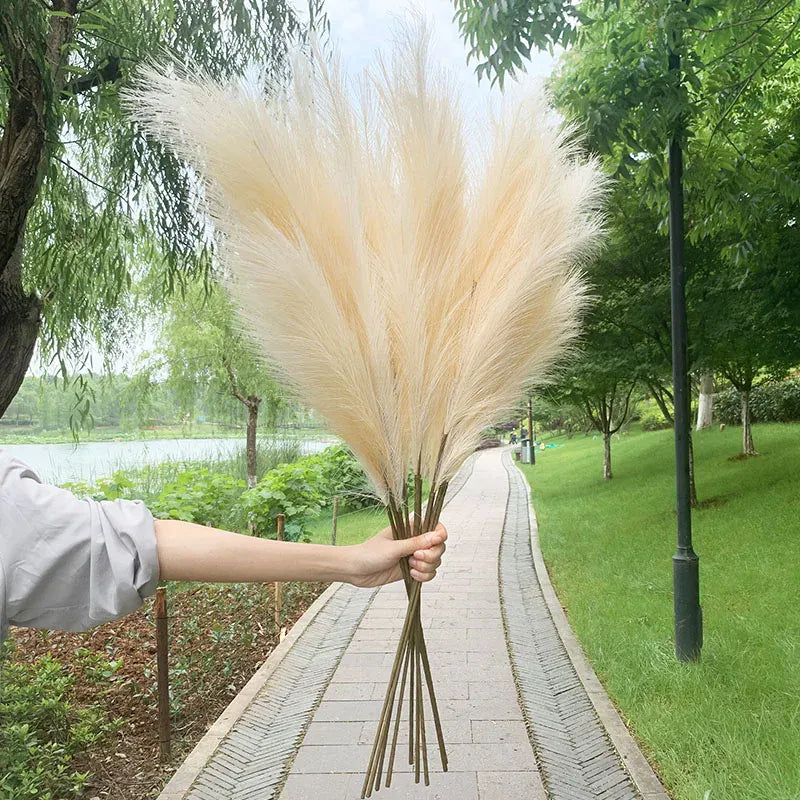 Herbe de Pampa Artificielle | Artiflora Blanc Cassé / 5 pièces