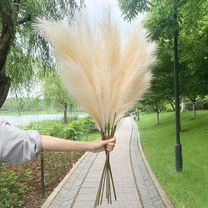 Herbe de Pampa Artificielle | Artiflora Blanc Cassé / 5 pièces