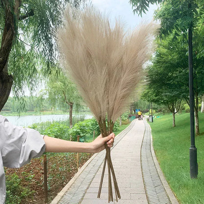 Herbe de Pampa Artificielle | Artiflora Brun / 5 pièces
