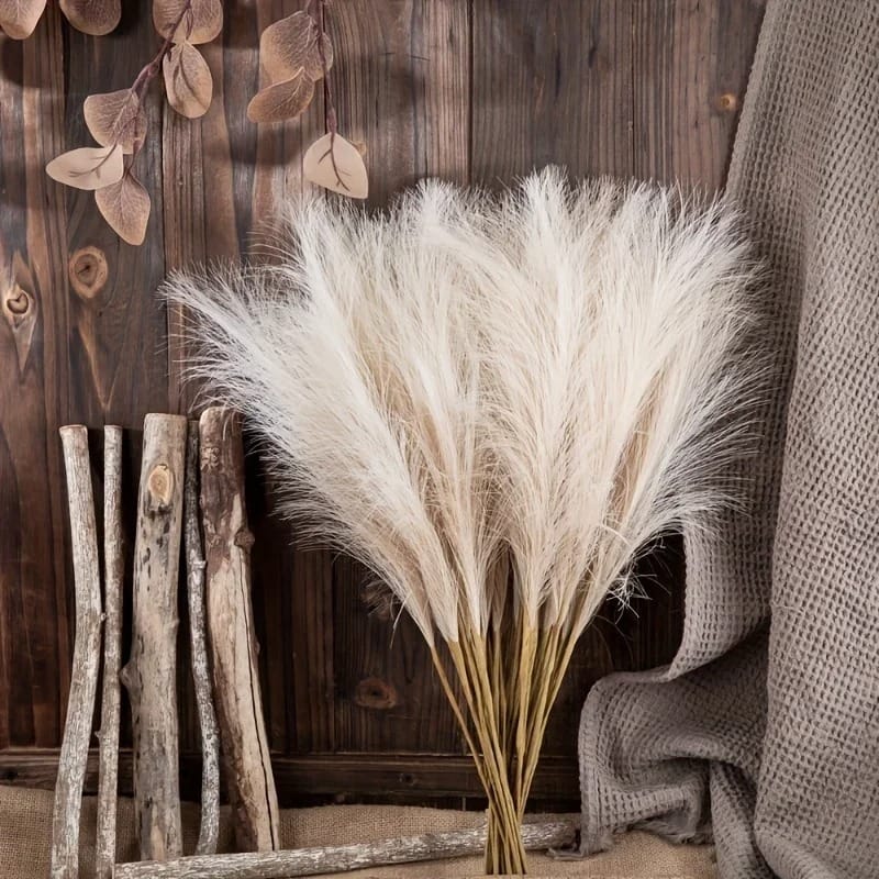 Herbe de Pampas Sobre | Artiflora