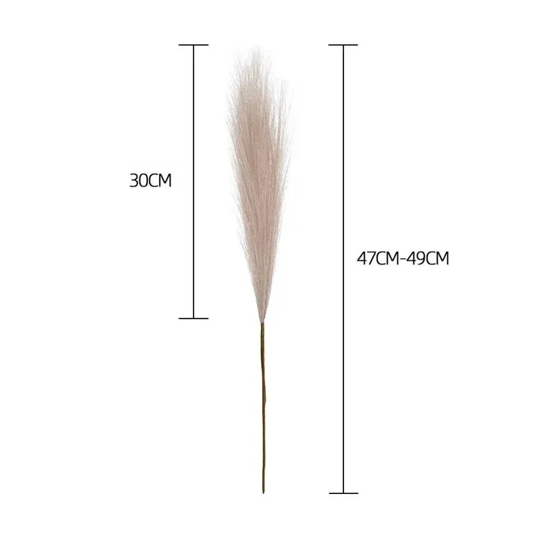Herbe de Pampas Sobre | Artiflora