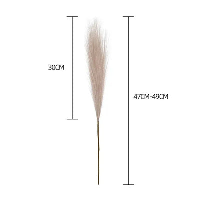 Herbe de Pampas Sobre | Artiflora