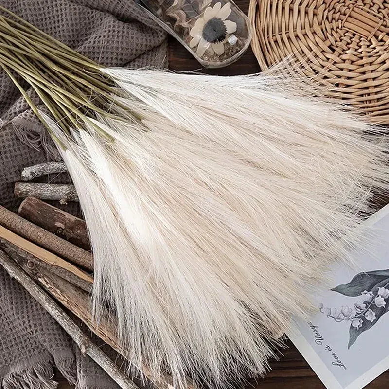Herbe de Pampas Sobre | Artiflora