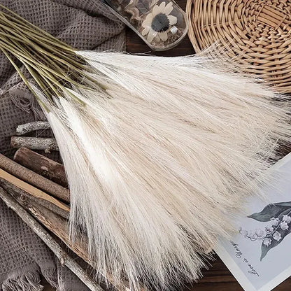 Herbe de Pampas Sobre | Artiflora
