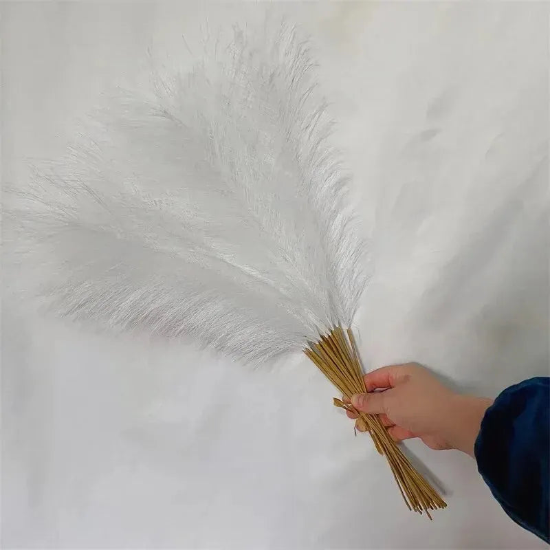 Herbe de Pampas Sobre | Artiflora Blanc