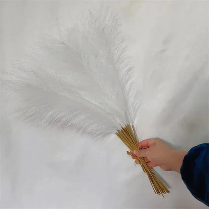 Herbe de Pampas Sobre | Artiflora Blanc
