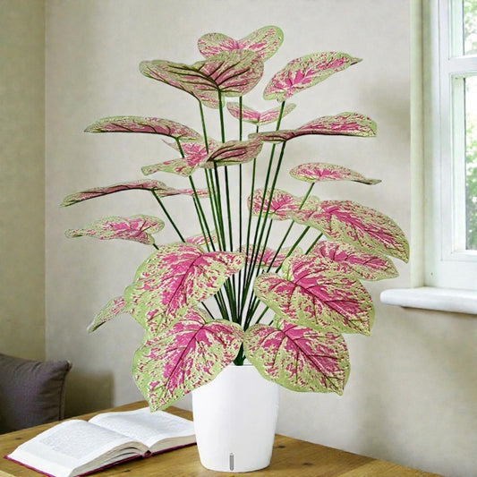 Caladium Artificiel