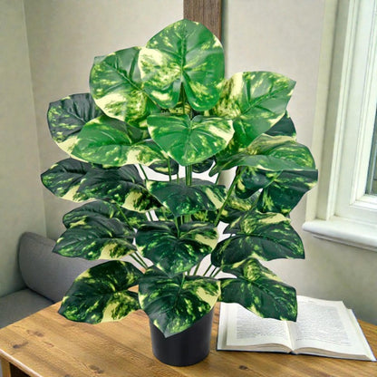 Alocasia Artificiel Verte et Blanche