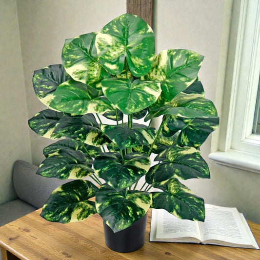 Alocasia Artificiel Verte et Blanche