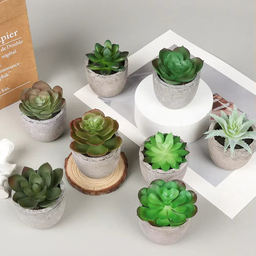 Lot de 4 plantes succulentes artificielles | Artiflora