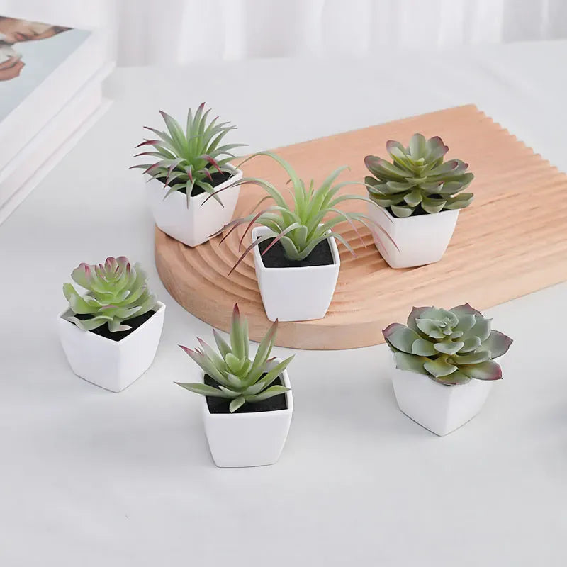 Lot de 6 Succulentes Artificielles | Artiflora