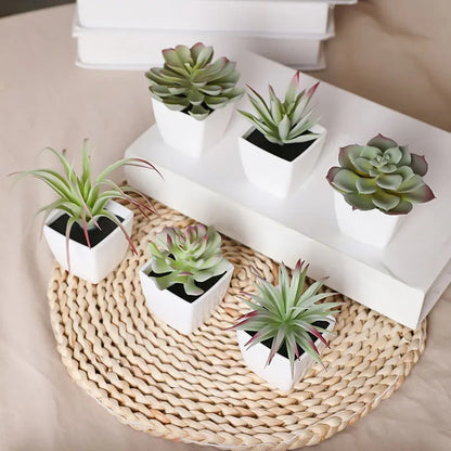 Lot de 6 Succulentes Artificielles | Artiflora Vert Clair