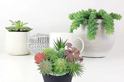lot de 9 Succulentes Artificielles | Artiflora