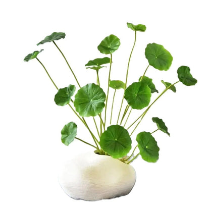 Lotus Artificiel | Artiflora