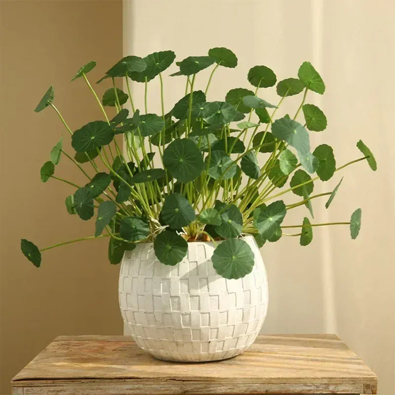 Lotus Artificiel | Artiflora