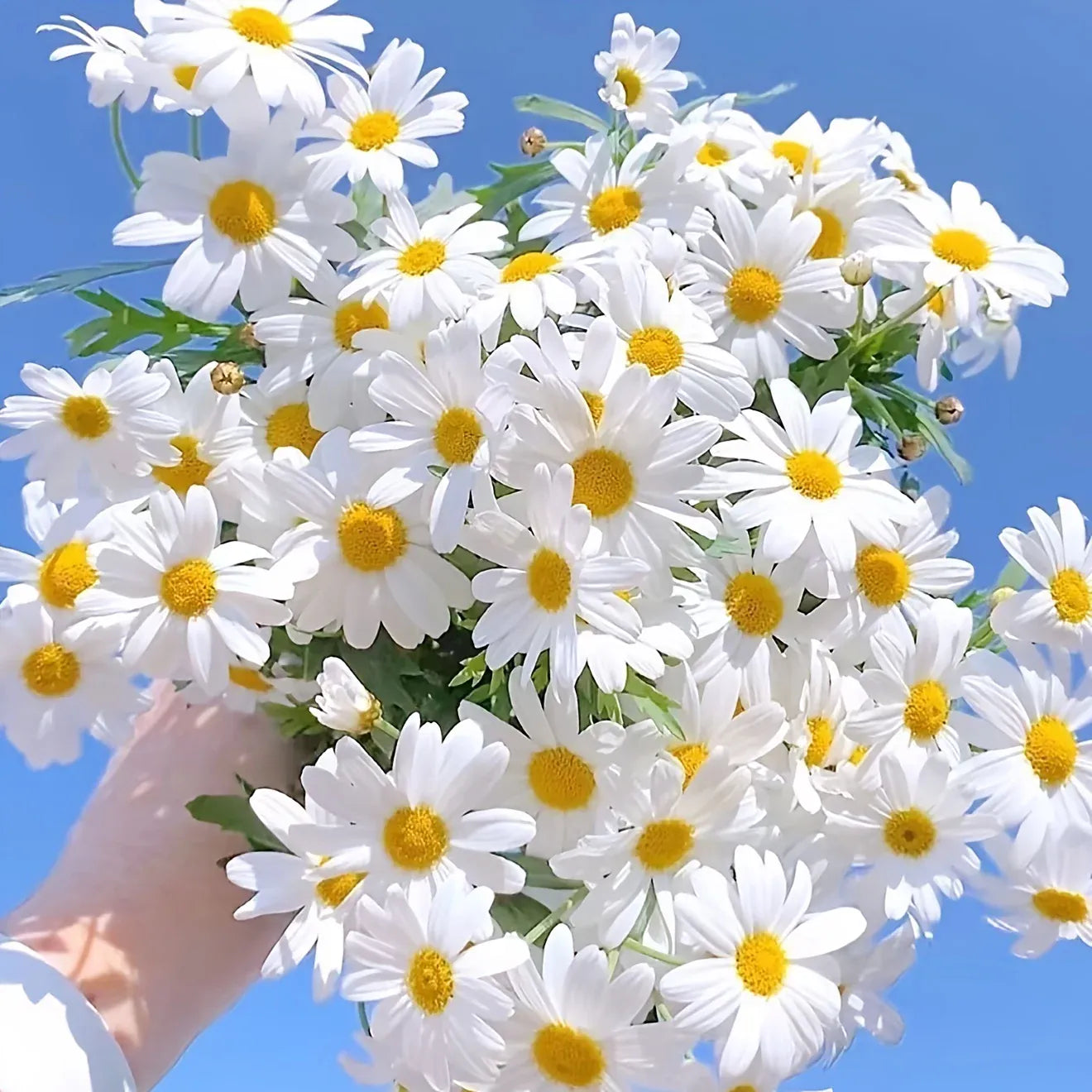 Marguerites Artificielles 4 pcs