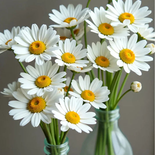 Marguerites Artificielles 4 pcs