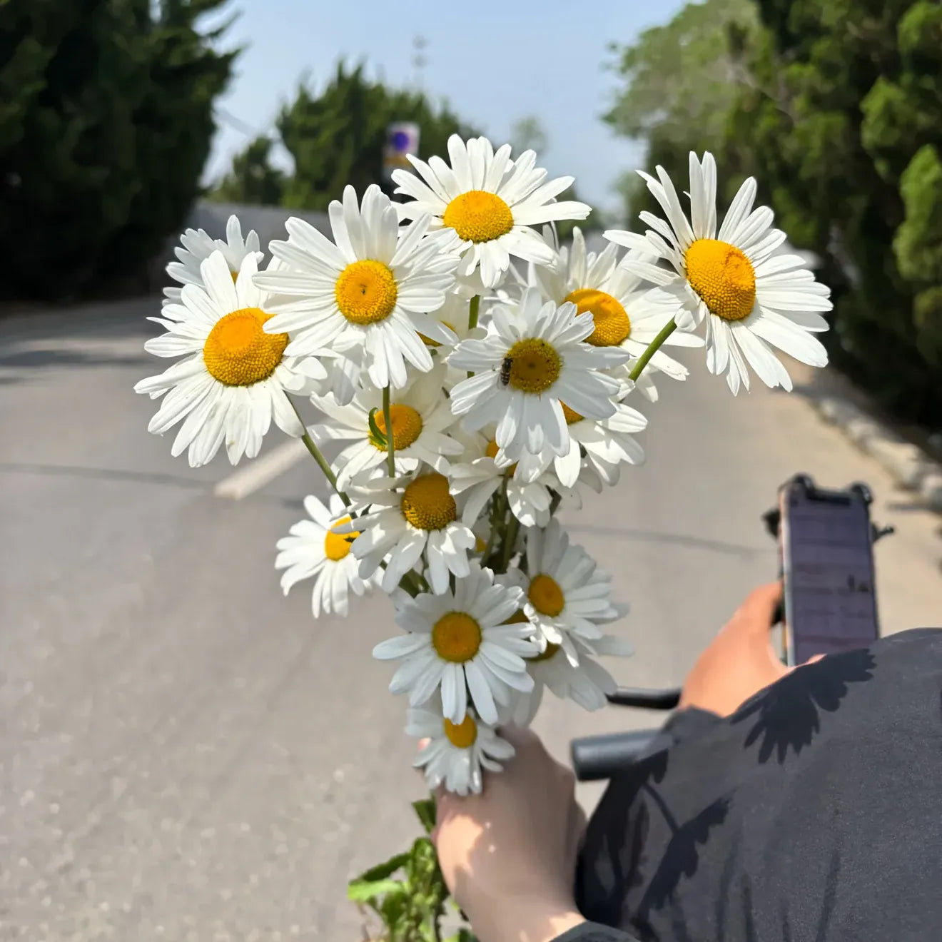 Marguerites Artificielles 4 pcs