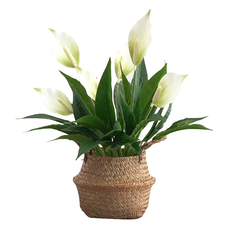 Monstera Artificiel en Fleur | Artiflora