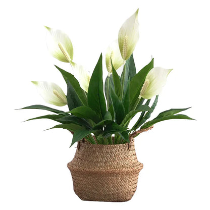 Monstera Artificiel en Fleur | Artiflora