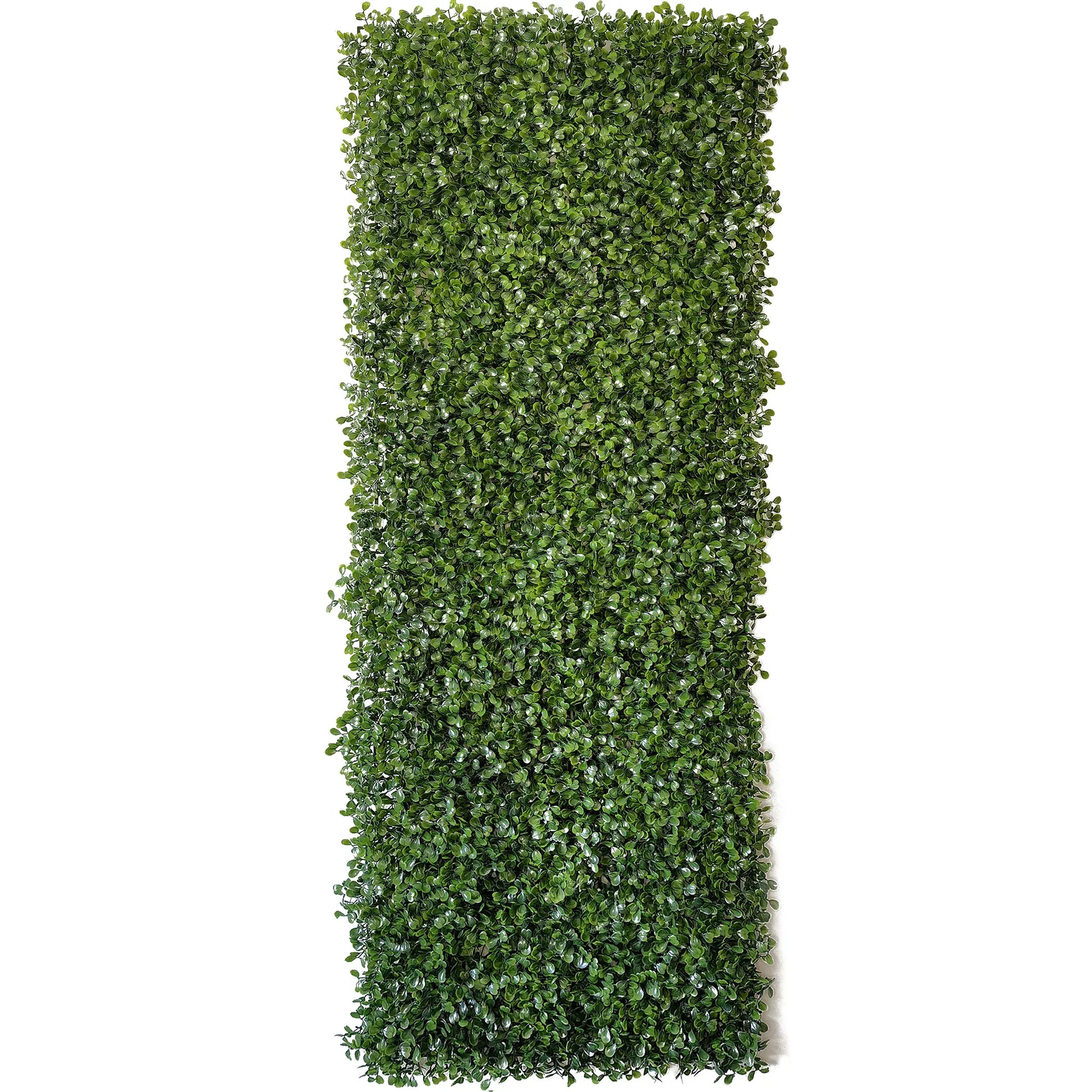 Mur Végétal Artificiel de Buis