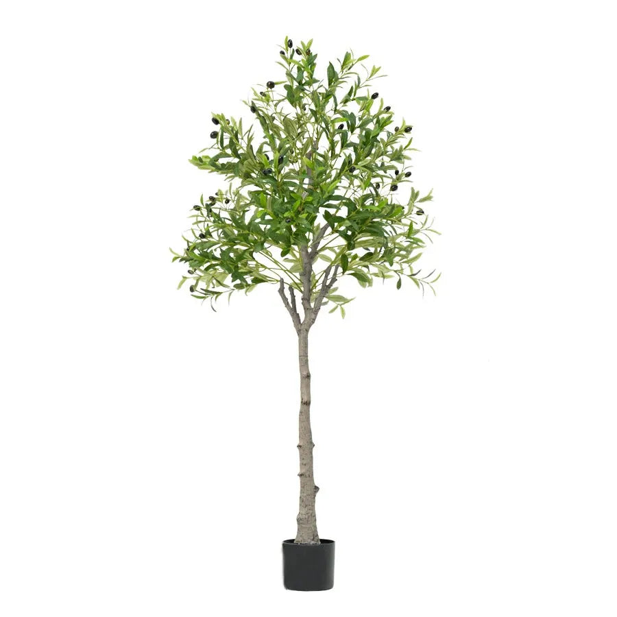 Olivier Artificiel | Artiflora