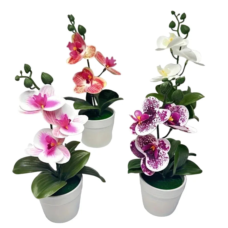 Orchidées Artificielles | Artiflora