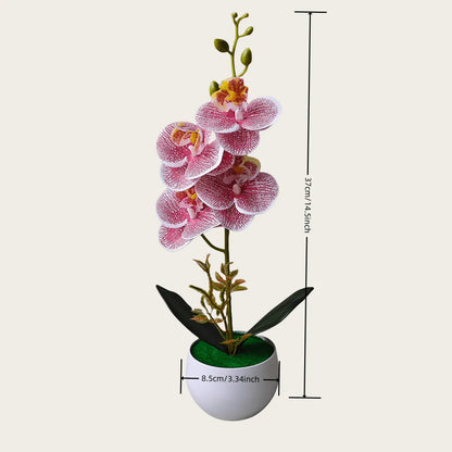 Orchidées Artificielles XXL | Artiflora
