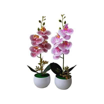 Orchidées Artificielles XXL | Artiflora
