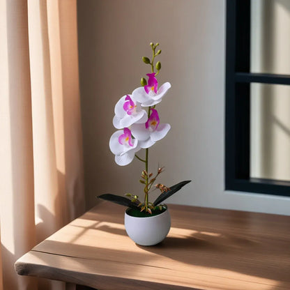 Orchidées Artificielles XXL | Artiflora Blanche