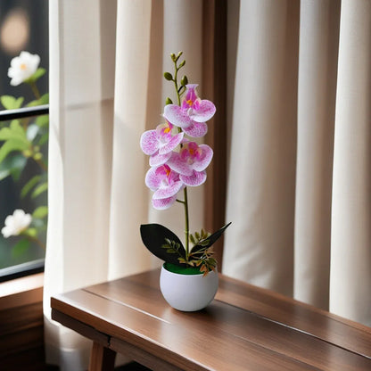 Orchidées Artificielles XXL | Artiflora Rayures Rose-Rouge