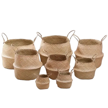 Panier à Plante