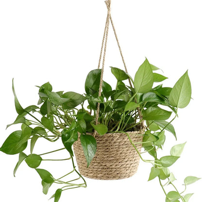 Panier suspendu pour plante | Artiflora