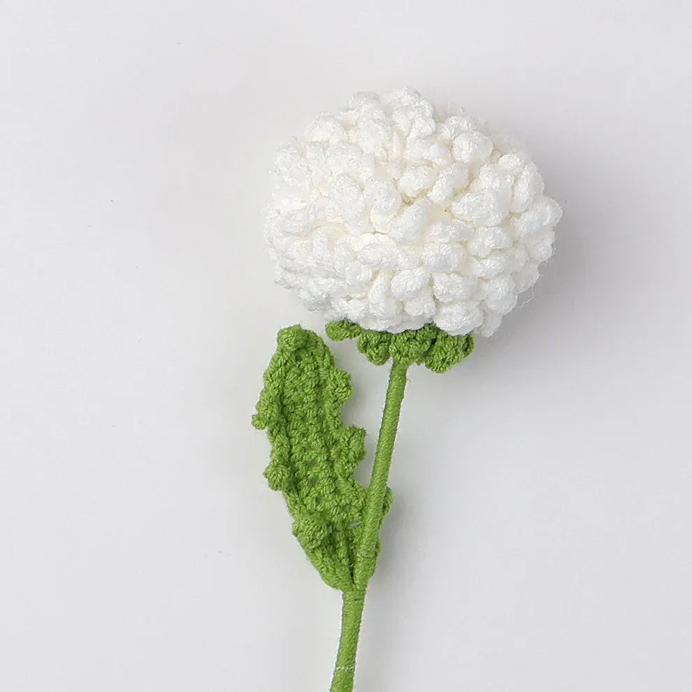 Pissenlit Tricotée | Artiflora Blanc