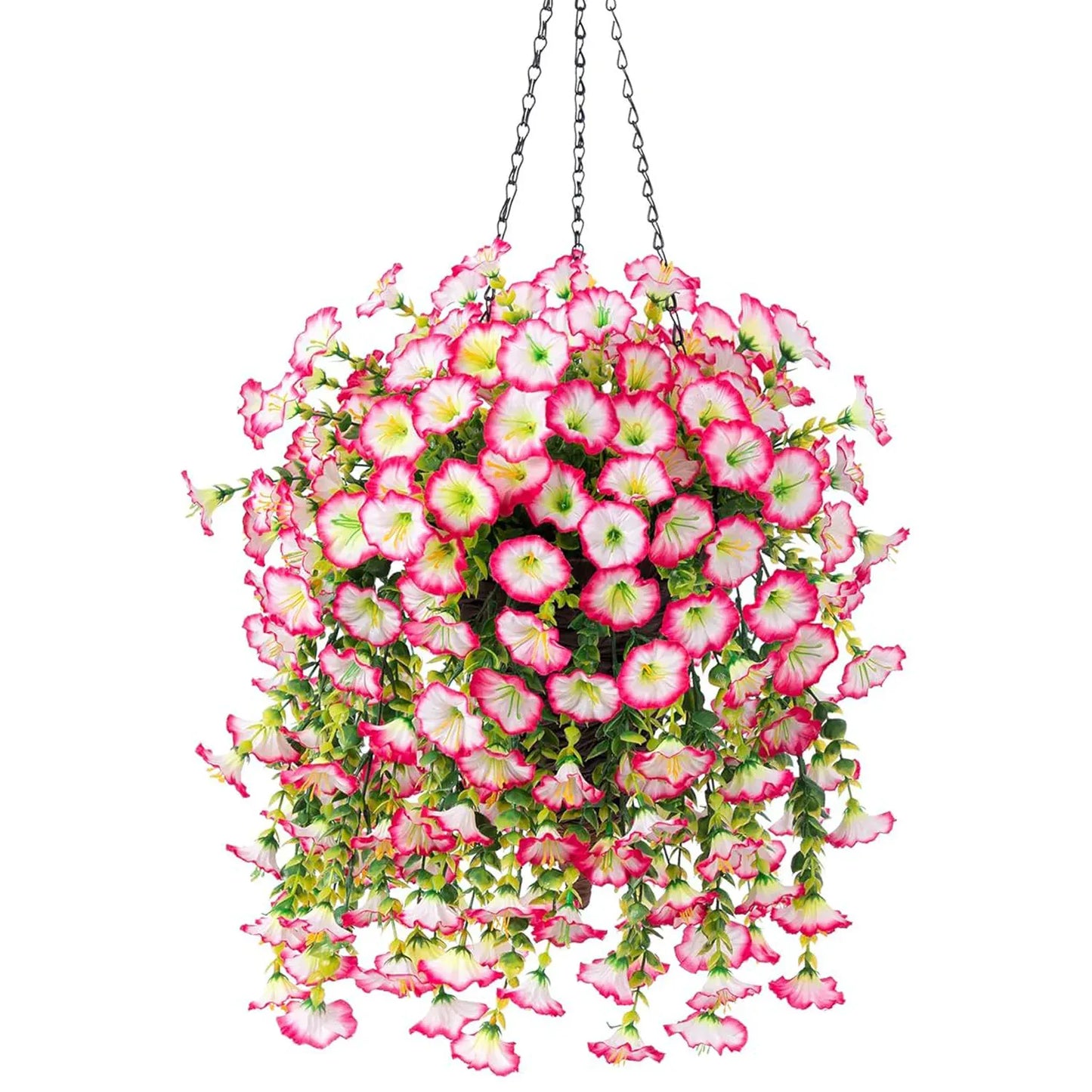 Plante à Fleur Retombante | Artiflora