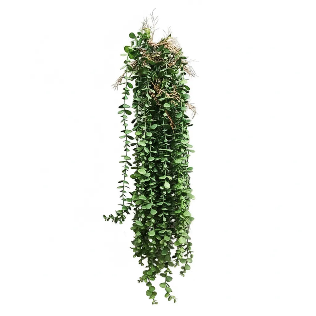 Plante d'Eucalyptus Artificiel retombante | Artiflora