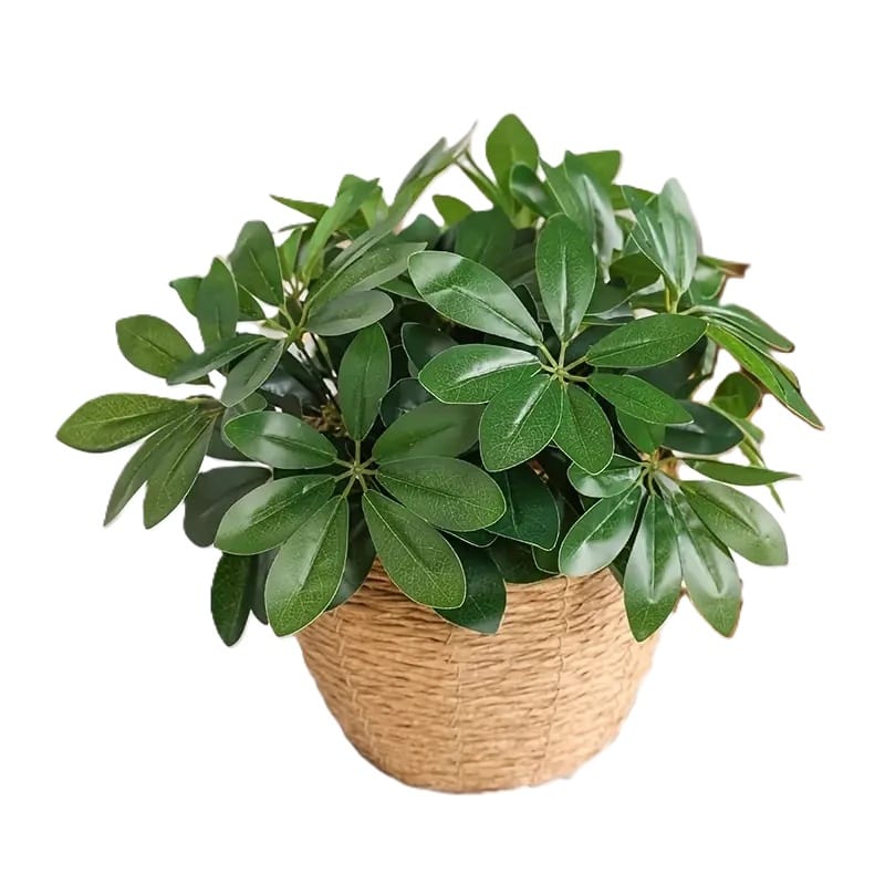 Plante verte artificielle | Artiflora