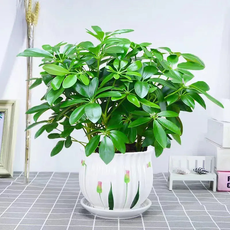 Plante verte artificielle | Artiflora