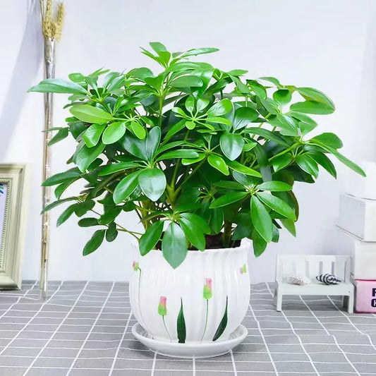 Plante verte artificielle | Artiflora