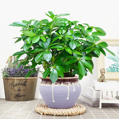 Plante verte artificielle | Artiflora