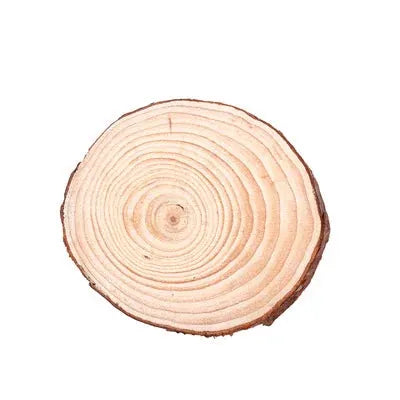 Rondins de Bois 12-14cm 2Pcs